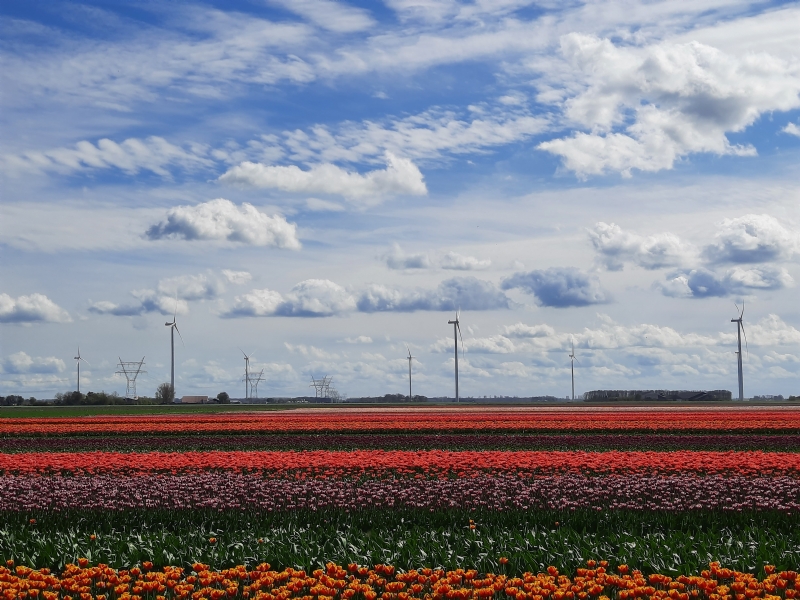 Slotevenement Windkracht Groen